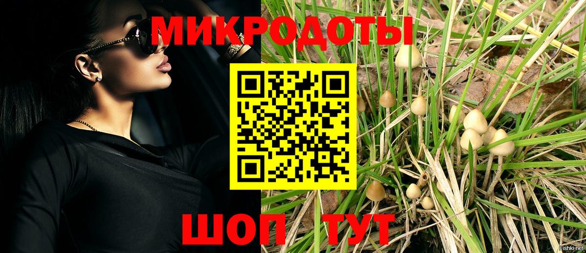 Сланцы  купить наркотики сайты  Вход с VPN  Псилоцибиновые грибы прущие грибы 